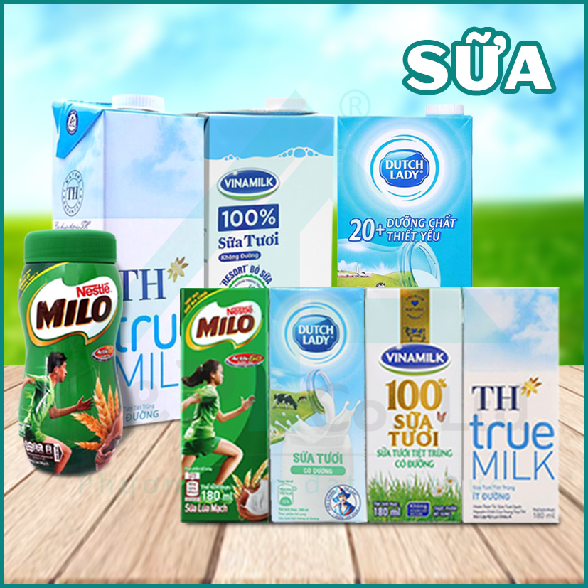 Sữa